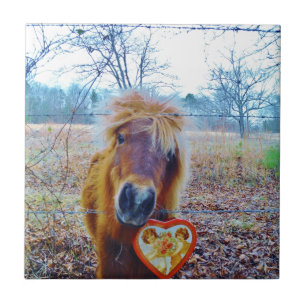 Valentine Heart Horse Kakelplatta