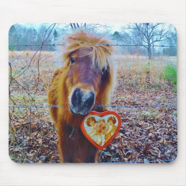 Valentine Heart Horse Musmatta (Framsidan)