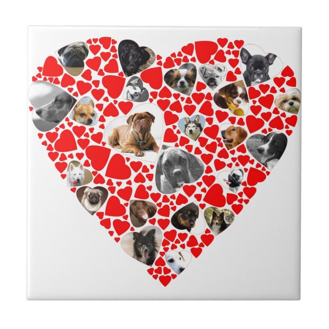 Valentine Heart Hund Photo Collage Kakelplatta (Framsidan)