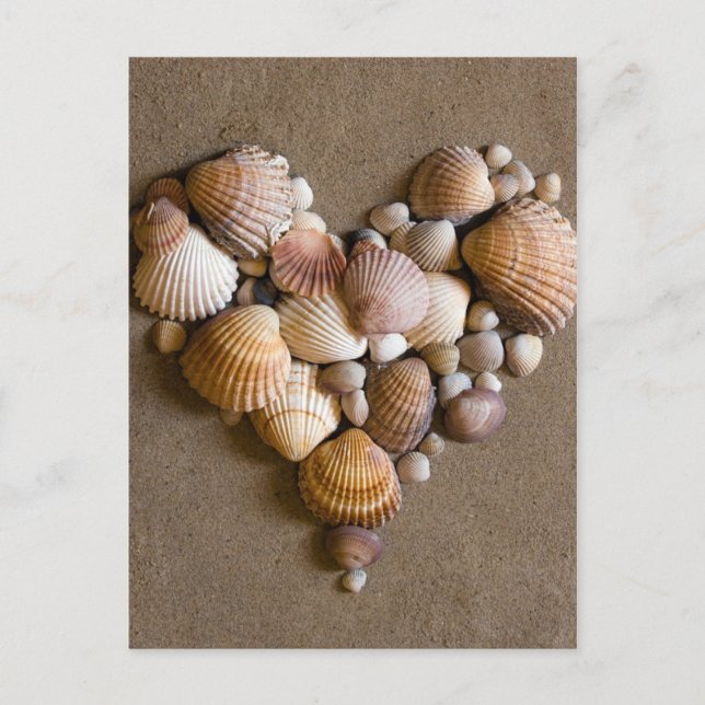 Valentine Heart Made med Snäckor Helg Vykort (Framsida)