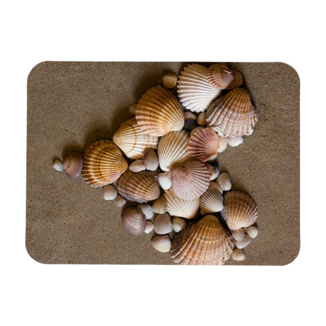 Valentine Heart Made med Snäckor Magnet (Horisontell)