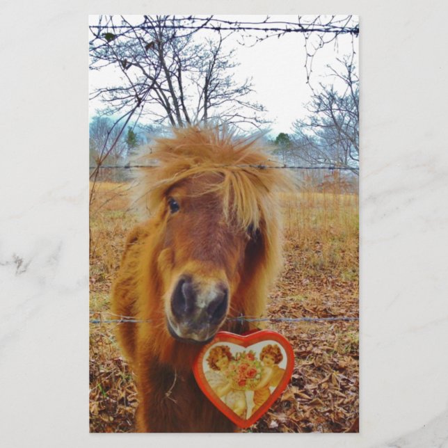 Valentine Heart Miniature Brown Horse (Framsida)