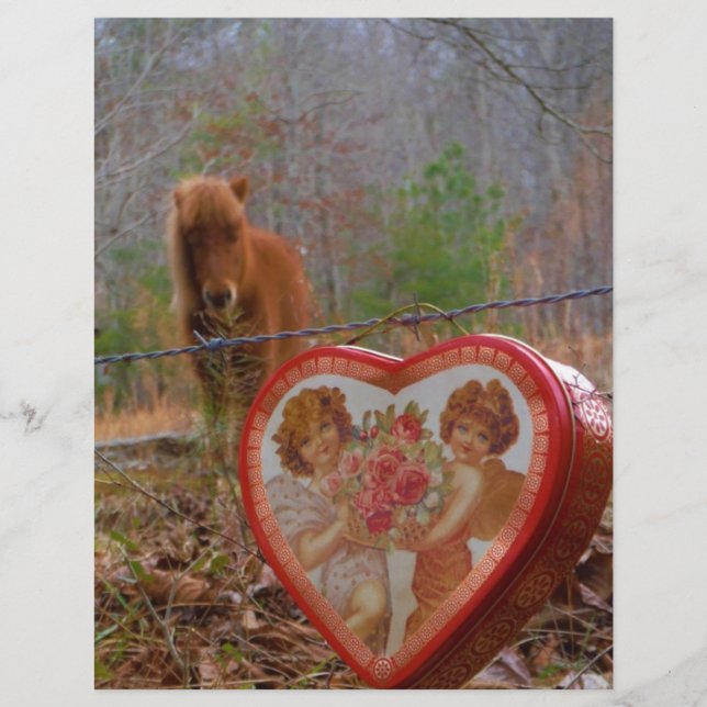 Valentine Heart Miniature Brown Horse (Framsida)