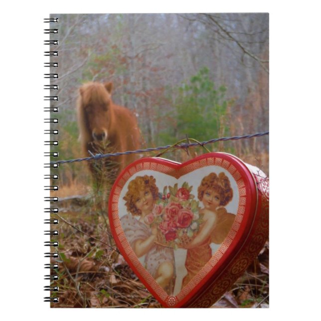 Valentine Heart Miniature Brown Horse Anteckningsbok Med Spiral (Framsidan)
