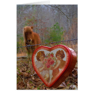Valentine Heart Miniature Brown Horse Hälsningskort