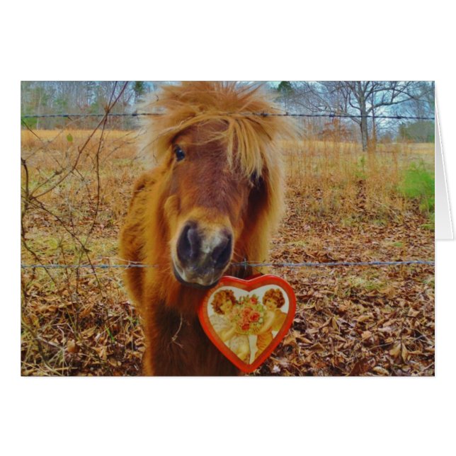 Valentine Heart Miniature Brown Horse Hälsningskort (Framsidan Horizontal)