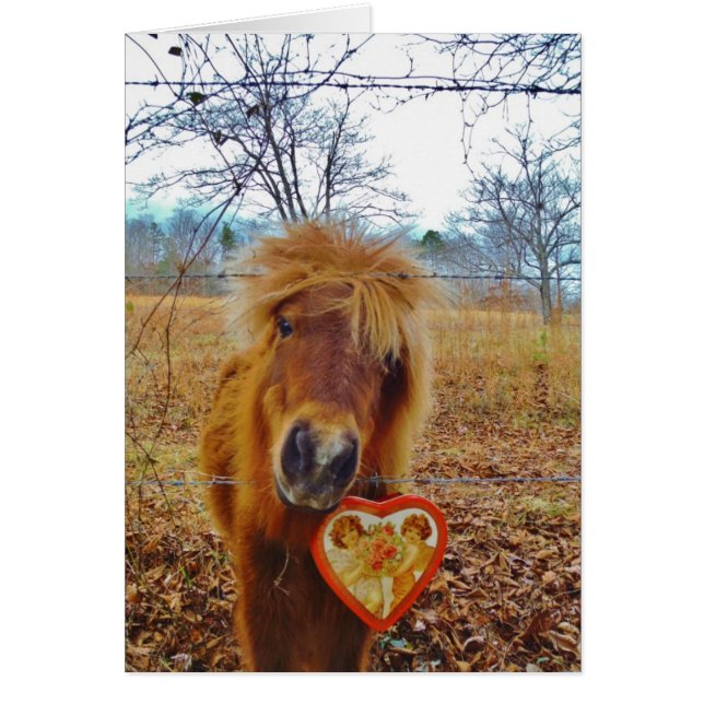Valentine Heart Miniature Brown Horse Hälsningskort (Framsidan)