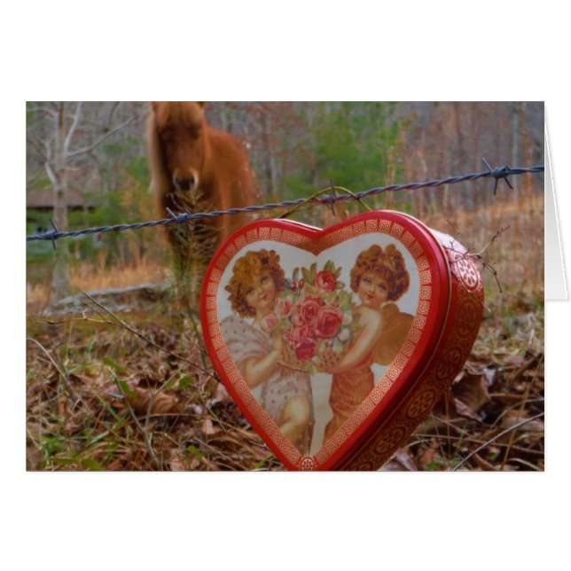 Valentine Heart Miniature Brown Horse Hälsningskort (Framsidan Horizontal)