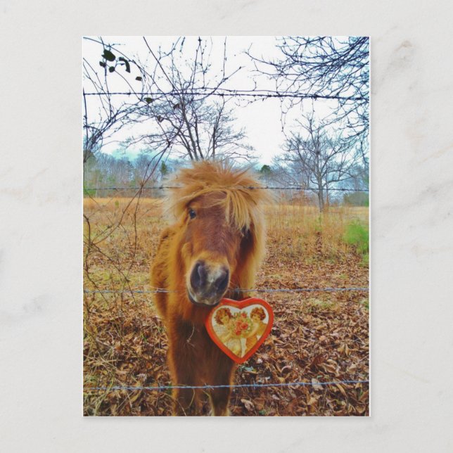 Valentine Heart Miniature Brown Horse Helg Vykort (Framsida)