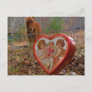 Valentine Heart Miniature Brown Horse Helg Vykort