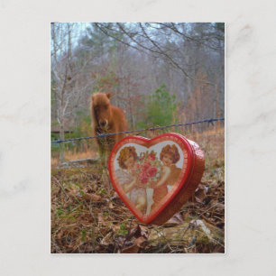 Valentine Heart Miniature Brown Horse Helg Vykort