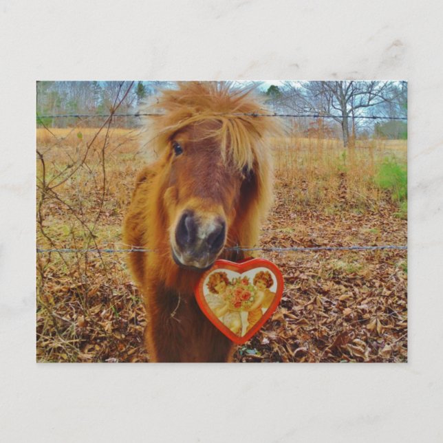 Valentine Heart Miniature Brown Horse Helg Vykort (Framsida)