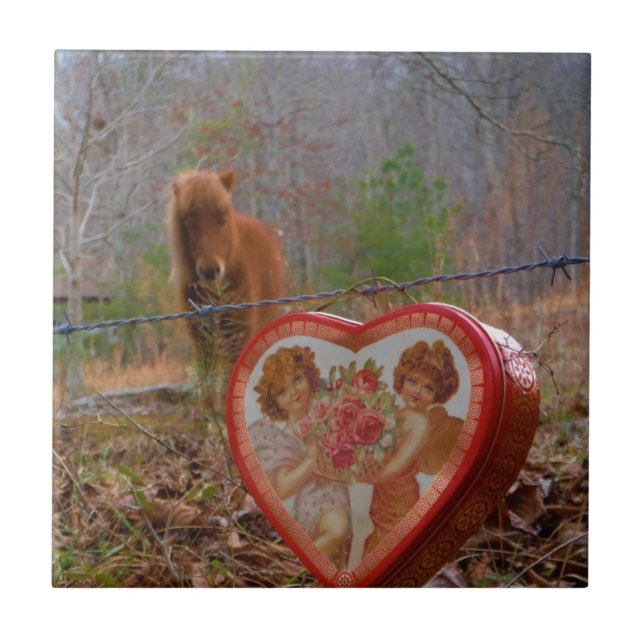 Valentine Heart Miniature Brown Horse Kakelplatta (Framsidan)