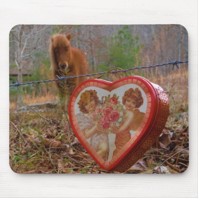 Valentine Heart Miniature Brown Horse Musmatta (Framsidan)