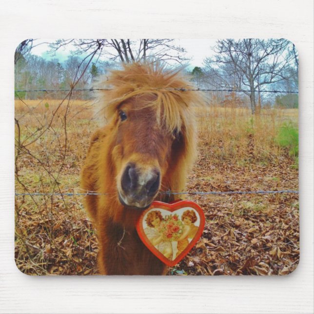 Valentine Heart Miniature Brown Horse Musmatta (Framsidan)