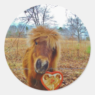 Valentine Heart Miniature Brown Horse Runt Klistermärke