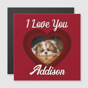 Valentine hjärta hund kärlek Anpassad foto namn på