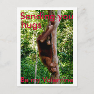 Valentine Hug-vykort Helg Vykort