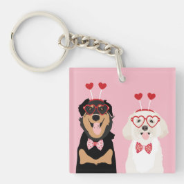 Valentine Hundar Rottweiler Maltipoo Puppy