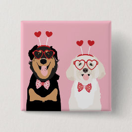 Valentine Hundar Rottweiler Maltipoo Puppy Knapp