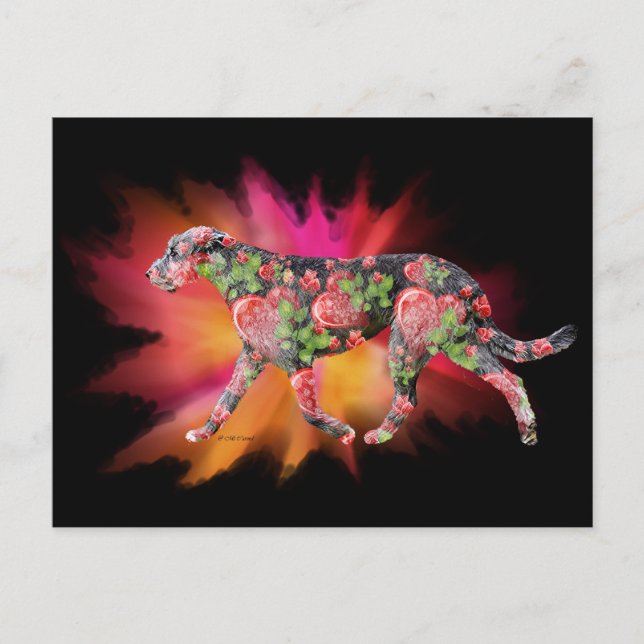 Valentine Irish Wolfhound stänk i färg Vykort (Framsida)