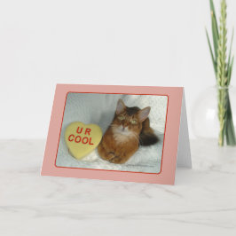 Valentine Kattunge U R Coola Card Helgkort
