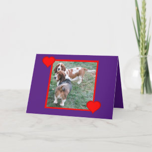 Valentine med Cute och Funny Basset Hounds Helgkort