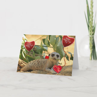 Valentine Meerkat Helgkort