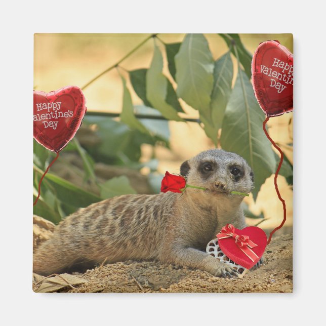 Valentine Meerkat Magnet (Framsidan)