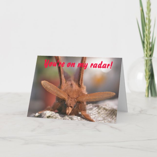 Valentine Moth Antennae: Du står på min radar! Helgkort (Framsida)