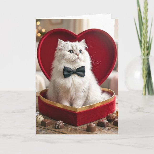 Valentine Persian Cat In Candy Box Kort (Framsida)
