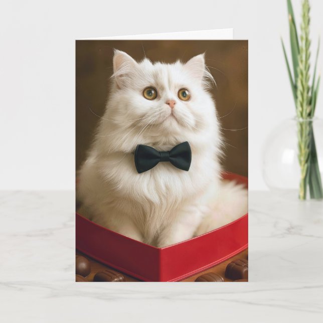 Valentine Persisk Katt I Godisbox Kort (Framsida)