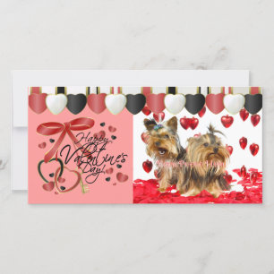 Valentine Photo Cards för dina sällskapsdjur! Julkort