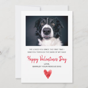 Valentine Photo från Hund Julkort
