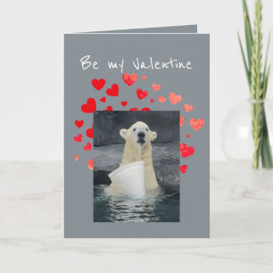 Valentine Polar Bear Bucket i Roligt Humor Helgkort