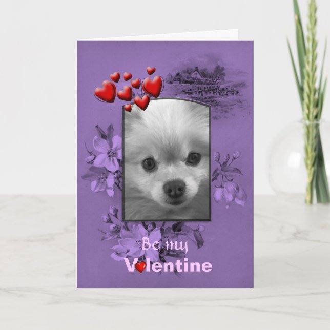 Valentine Pomeranian med Big Cute Ögon Helgkort (Framsida)