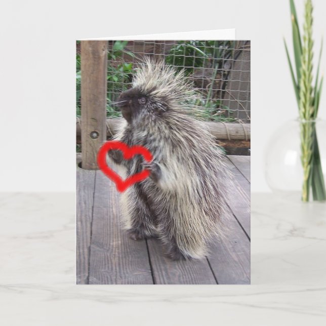 Valentine Porcupine Helgkort (Framsida)