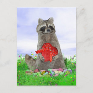 Valentine Raccoon Bandit Helg Vykort