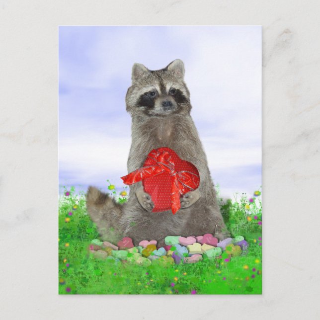 Valentine Raccoon Bandit Helg Vykort (Framsida)