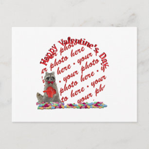Valentine Raccoon ’Bandit’ Photo Ram Helg Vykort