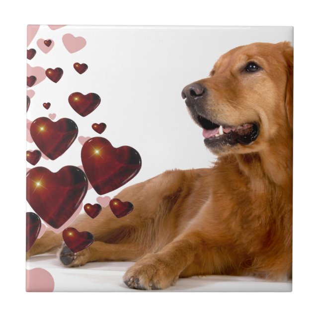 Valentine Red Hearts Golden Retriever Hund Kakelplatta (Framsidan)