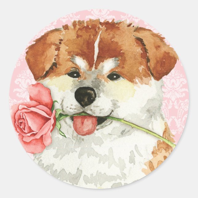Valentine Ro Akita Runt Klistermärke (Framsida)