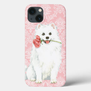 Valentine Ro American Eskimo Hund