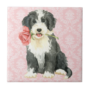 Valentine Ro Beardie Kakelplatta
