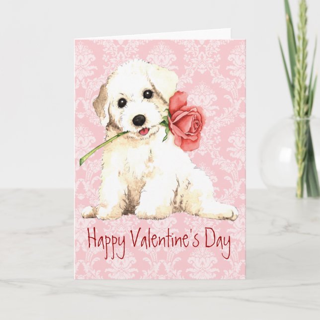 Valentine Ro Bichon Helgkort (Framsida)