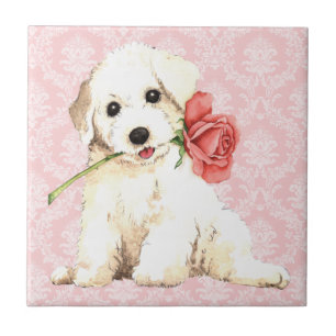 Valentine Ro Bichon Kakelplatta