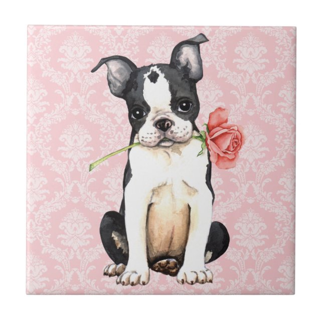 Valentine Ro Boston Terrier Kakelplatta (Framsidan)