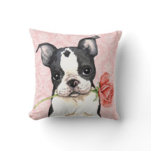 Valentine Ro Boston Terrier