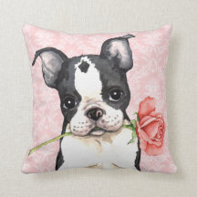 Valentine Ro Boston Terrier