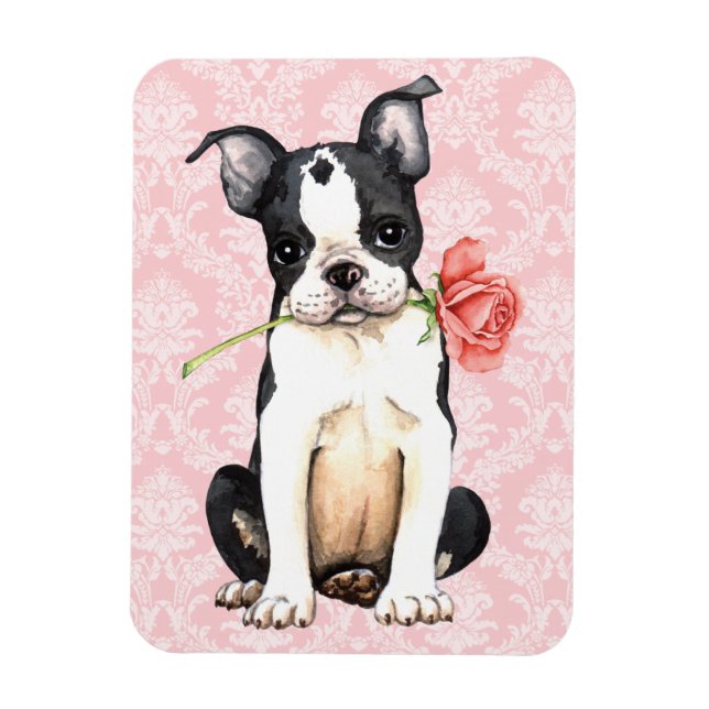 Valentine Ro Boston Terrier Magnet (Vertikal)